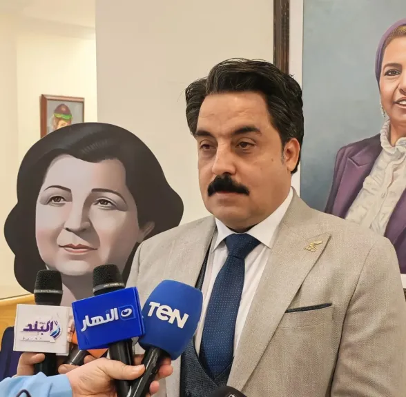 المهندس إيهاب محمود، الخبير الاقتصادي