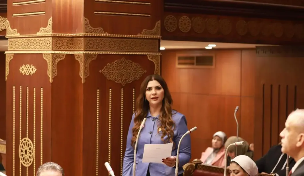 الدكتورة غادة البدوي، أمين سر لجنة التعليم بمجلس الشيوخ