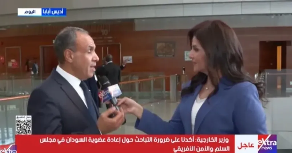 الدكتور بدر عبدالعاطي، وزير الخارجية والتعاون الدولي