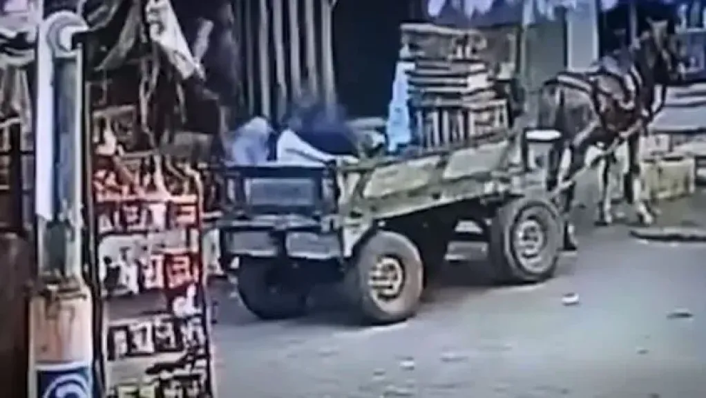 جانب من الصور 