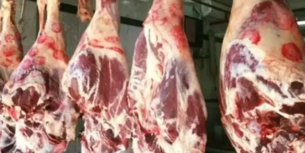 اسعار اللحوم 