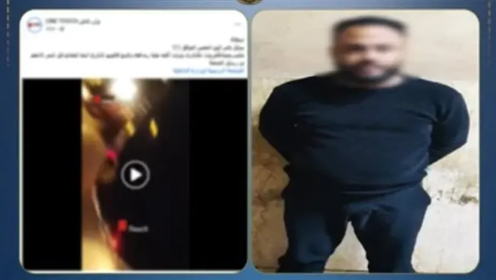 السائق