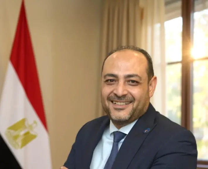 المهندس محمد مصطفى كشر، عضو مجلس الشيوخ المصري