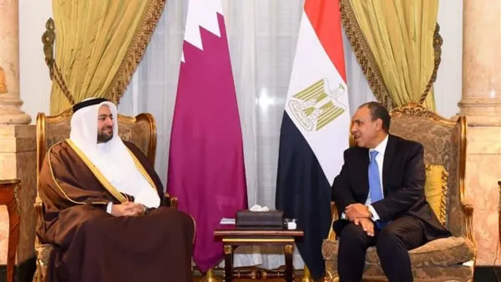 بدر عبد العاطي