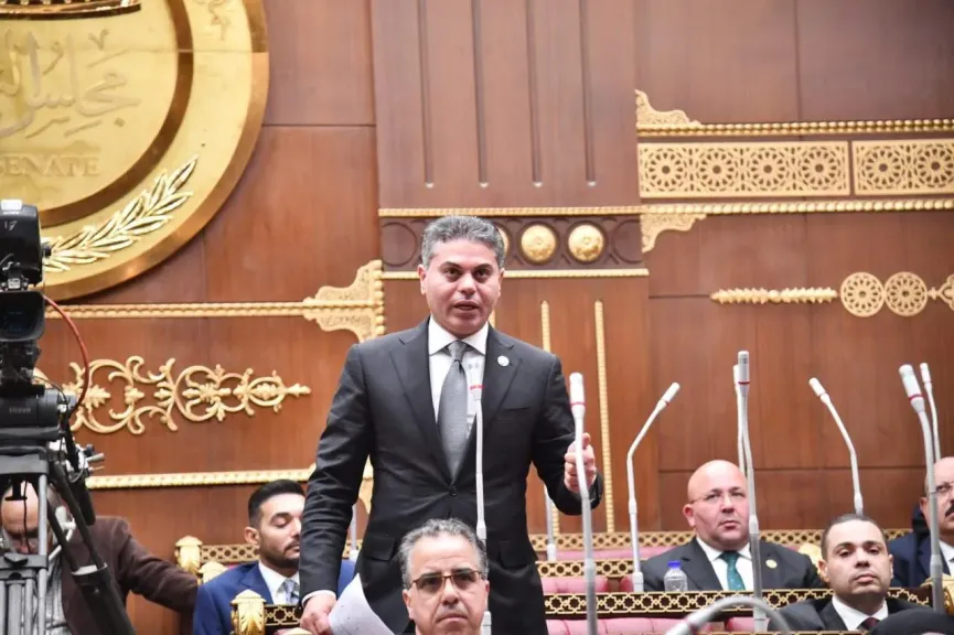 النائب مجدي البري