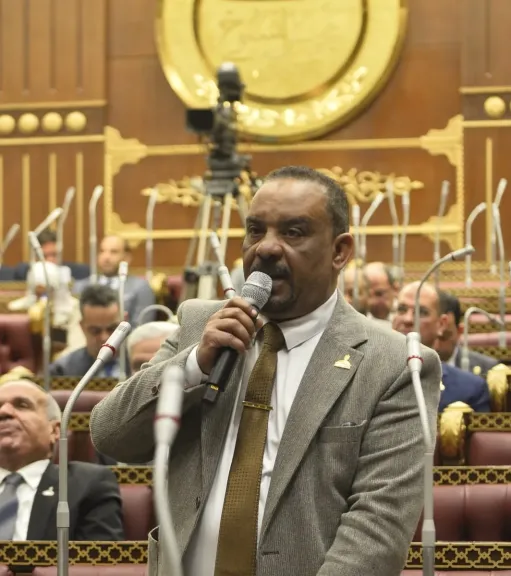 النائب أحمد حافظ، عضو مجلس الشيوخ