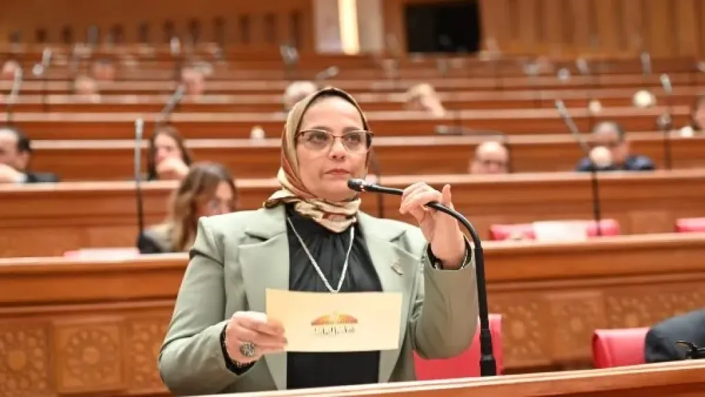 النائبة نجلاء العسيلي عضو مجلس النواب