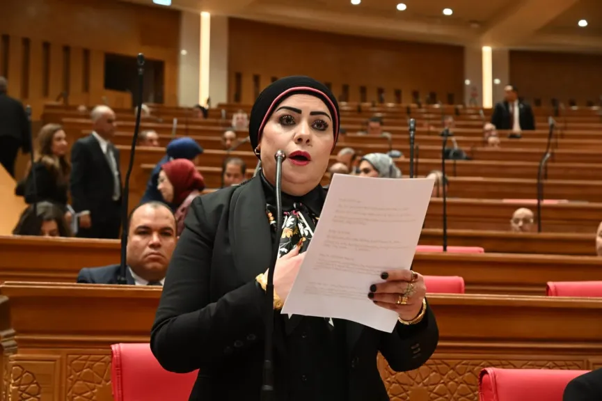 النائبة جيهان شاهين، عضو مجلس النواب