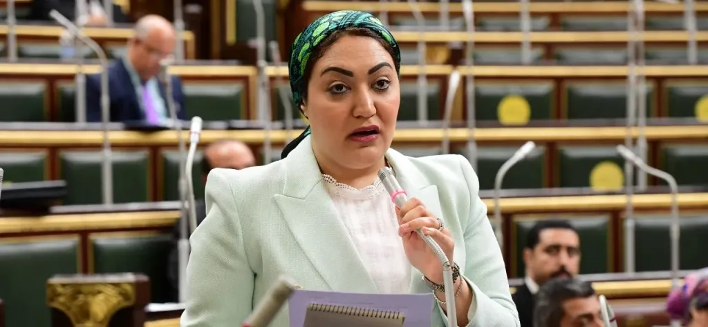 النائبة أسماء الجمال، عضو لجنة العلاقات الخارجية بمجلس النواب