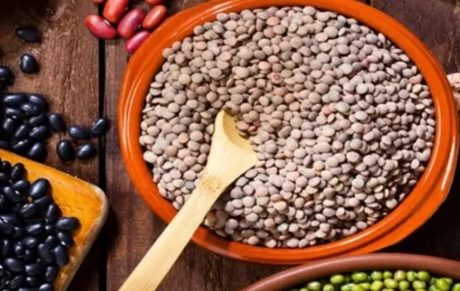 اسعار البقوليات 