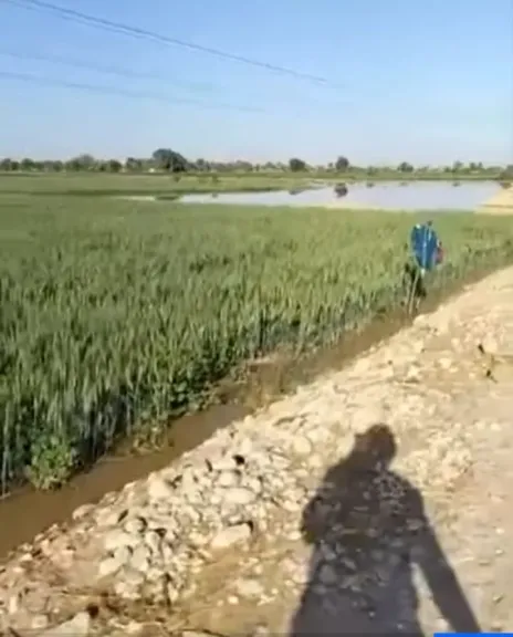 إنهاء أزمة تسرب مياه الصرف بأراضي