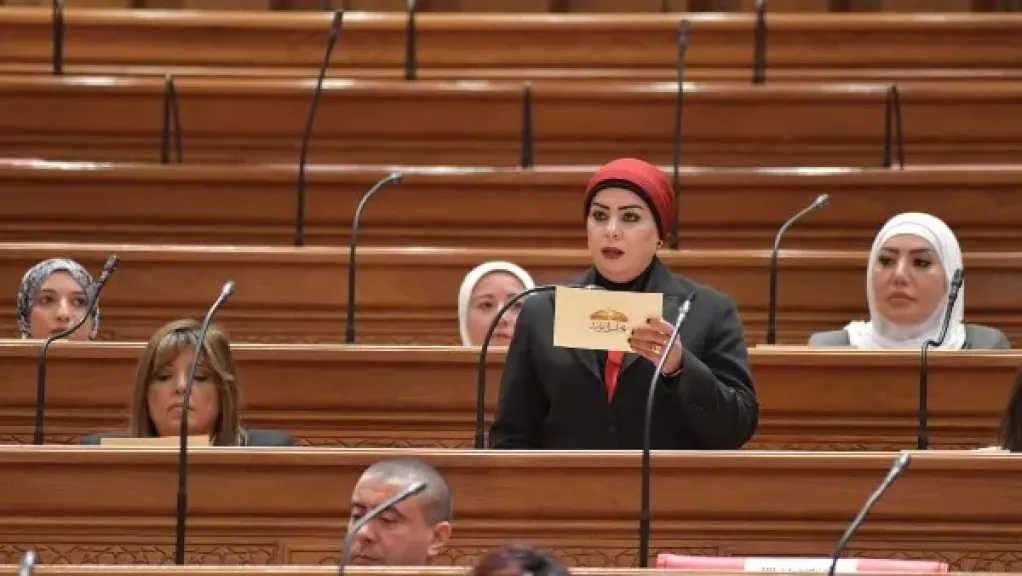 جيهان شاهين عضو مجلس النواب