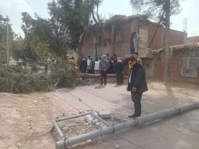 جانب من المتابعة 