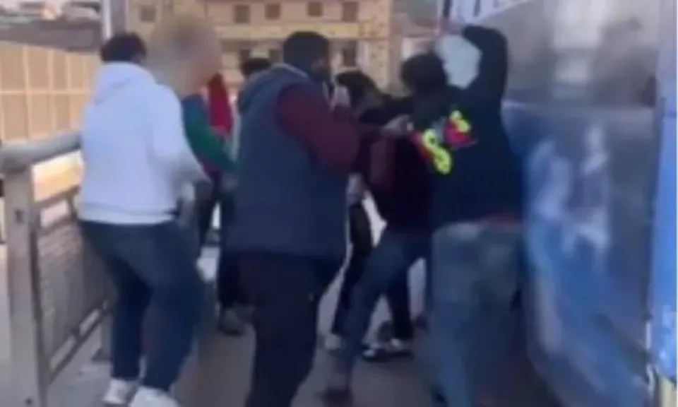 جانب من الصور 