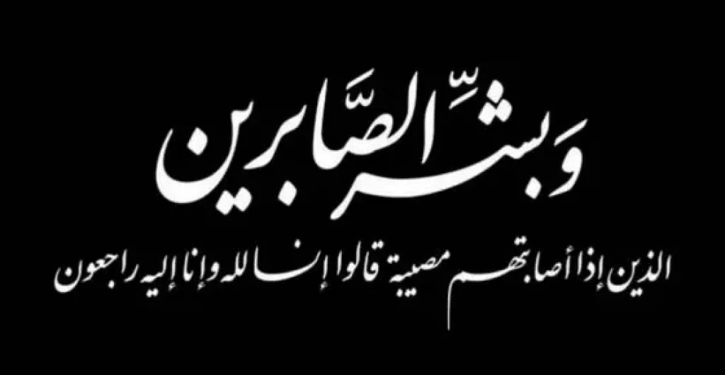 المستشار حسين أبو العطا، عضو مجلس الشيوخ