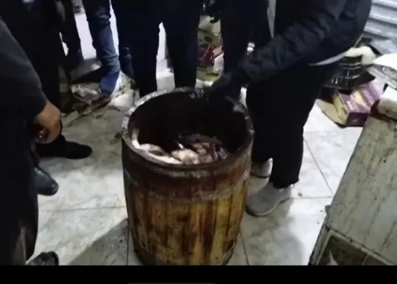 ضبط 631 كيلوجرام أسماك فاسدة  