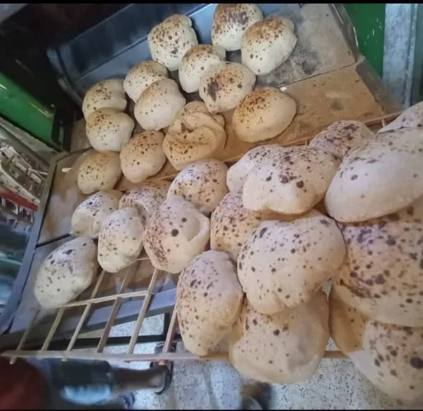 جانب من الحملات 