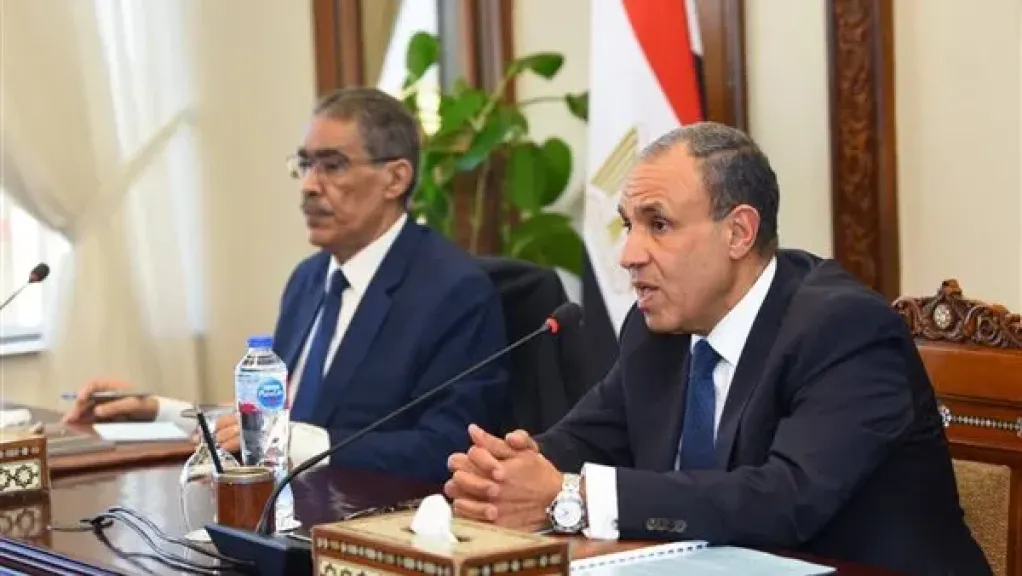بدر عبد العاطي