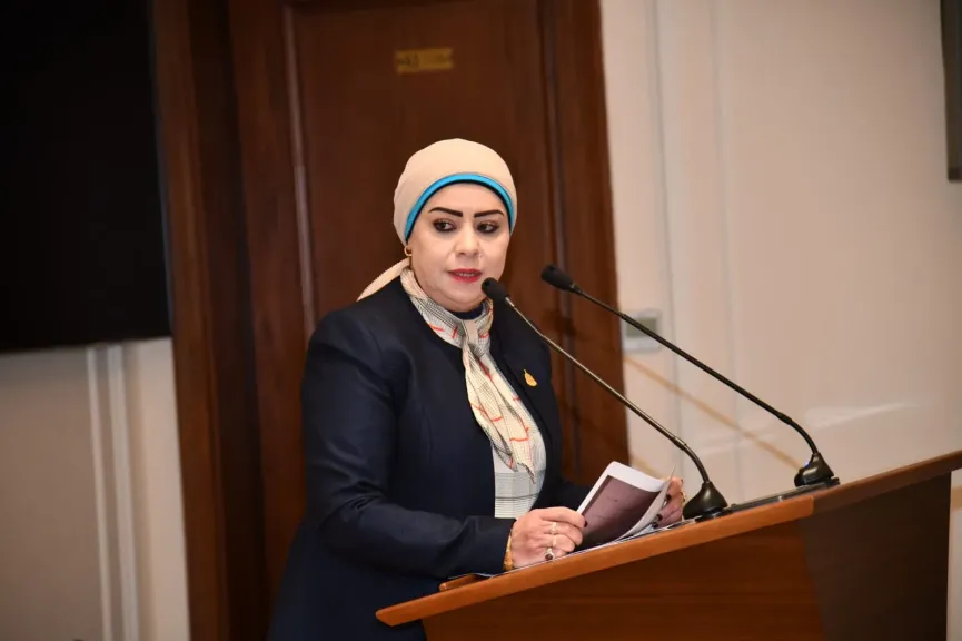 النائبة جيهان شاهين، عضو لجنة الشؤون العربية بمجلس النواب