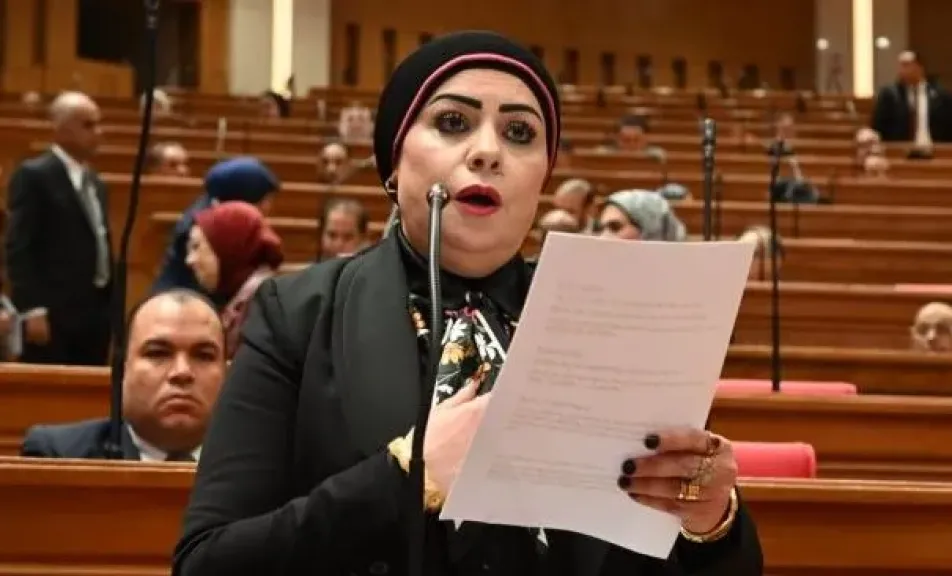 النائبة جيهان شاهين