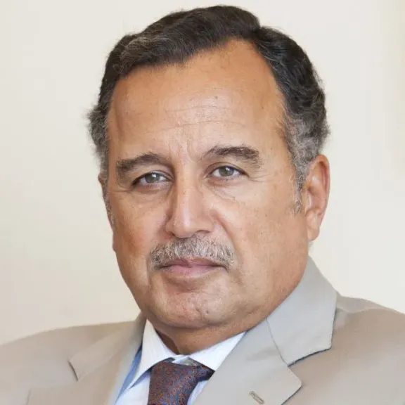 نبيل فهمي