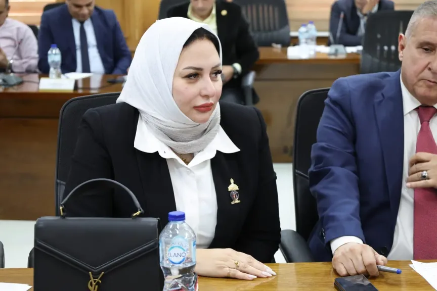 النائبة شيرين صبري، عضو مجلس الشيوخ