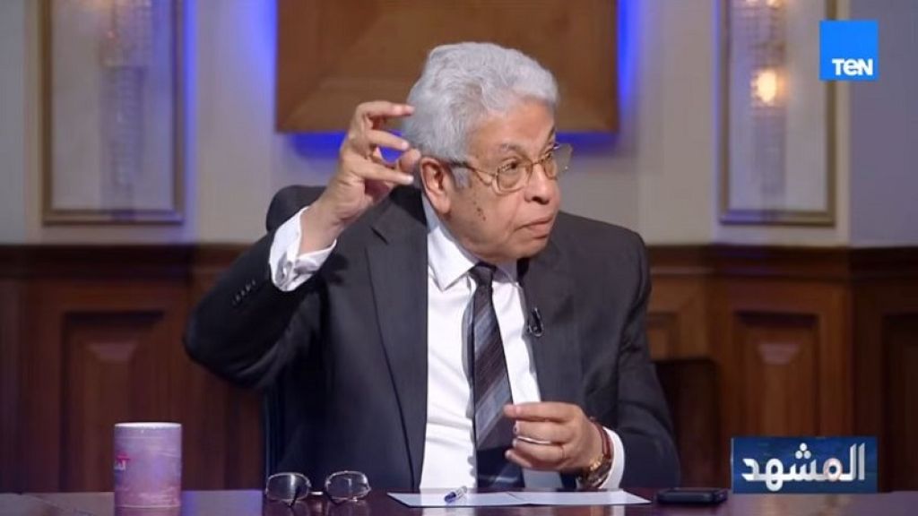 الدكتور عبد المنعم سعيد