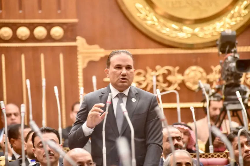 النائب تامر عبد الحميد، عضو لجنة الشؤون المالية والاقتصادية والاستثمار بمجلس الشيوخ