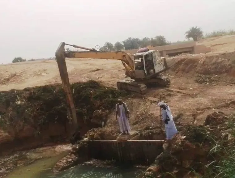 جانب من الزراعات الشتوية بأسوان 