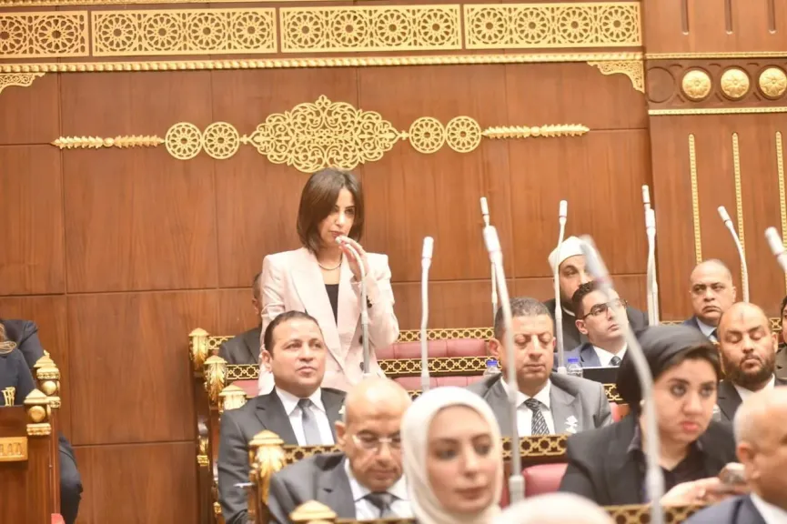 النائبة يوستينا رامي، عضو مجلس الشيوخ