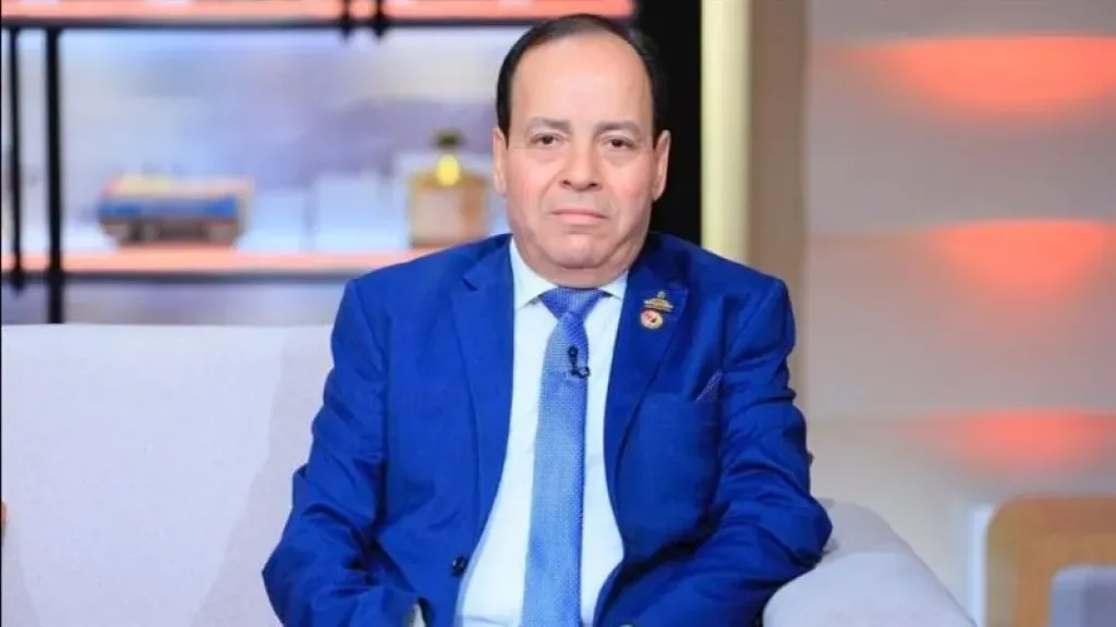 أشرف أبوالنصر، مساعد رئيس حزب حماة الوطن