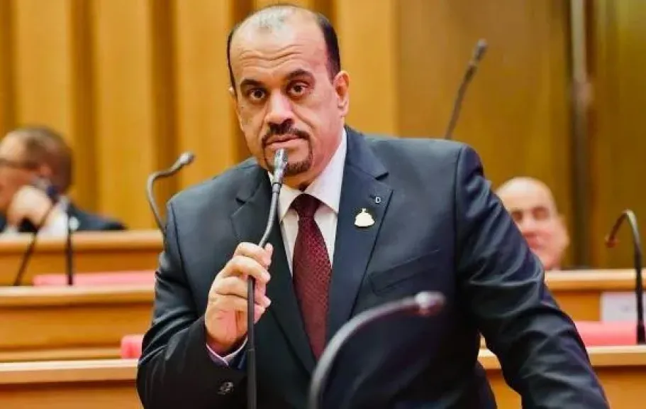  النائب إيهام إمام، عضو مجلس النواب