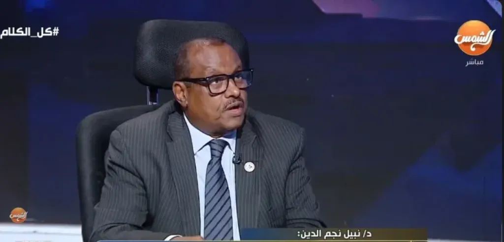  الدكتور نبيل نجم الدين، أستاذ العلاقات الدولية