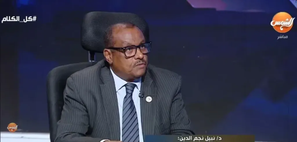الدكتور نبيل نجم الدين، أستاذ العلاقات الدولية