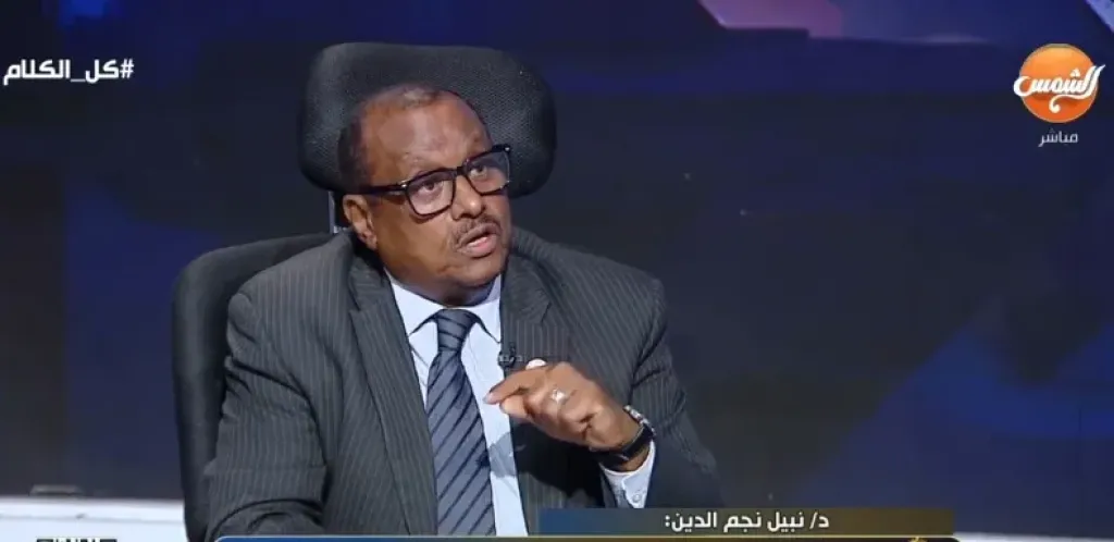 الدكتور نبيل نجم الدين، أستاذ العلاقات الدولية
