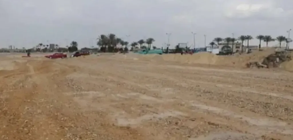 ارشيفية 