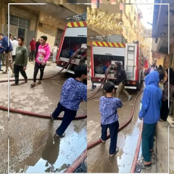 جانب من الصور 