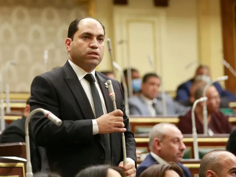 النائب عمرو درويش، عضو مجلس النواب