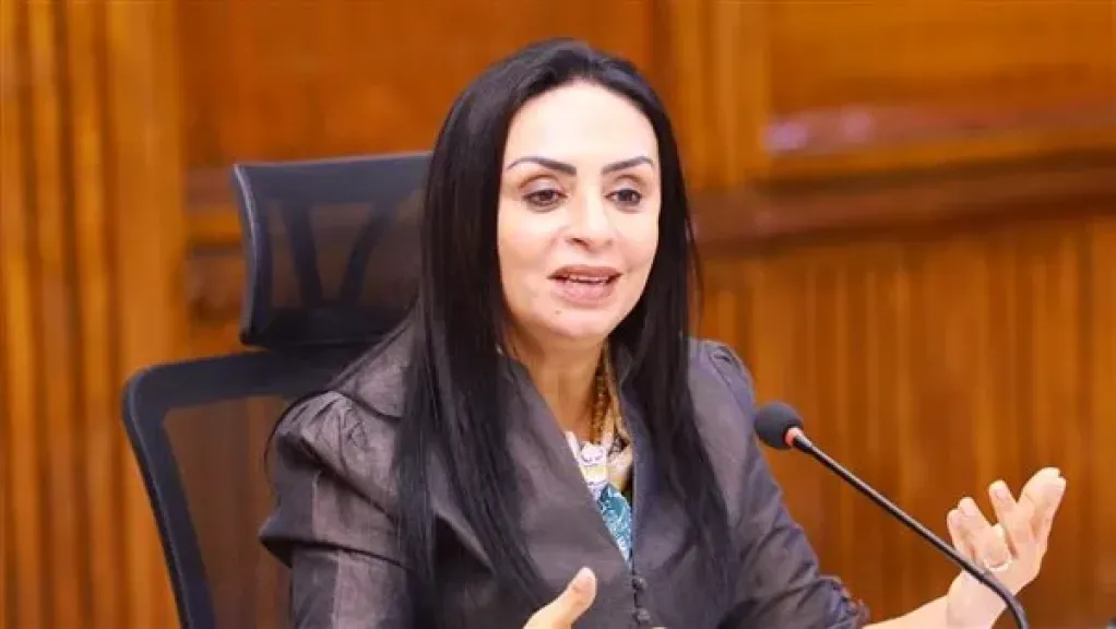 وزيره التضامن