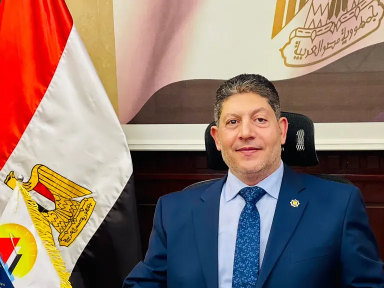 المستشار خالد السيد 