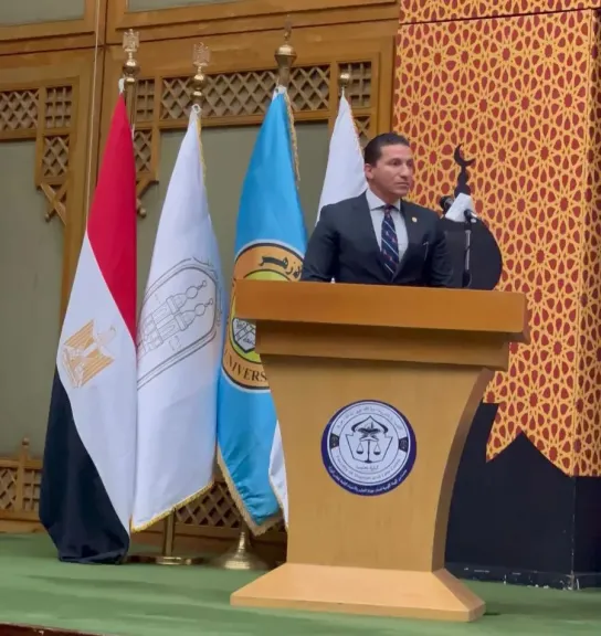 الدكتور فادي مكاوي، أستاذ القانون الجنائي