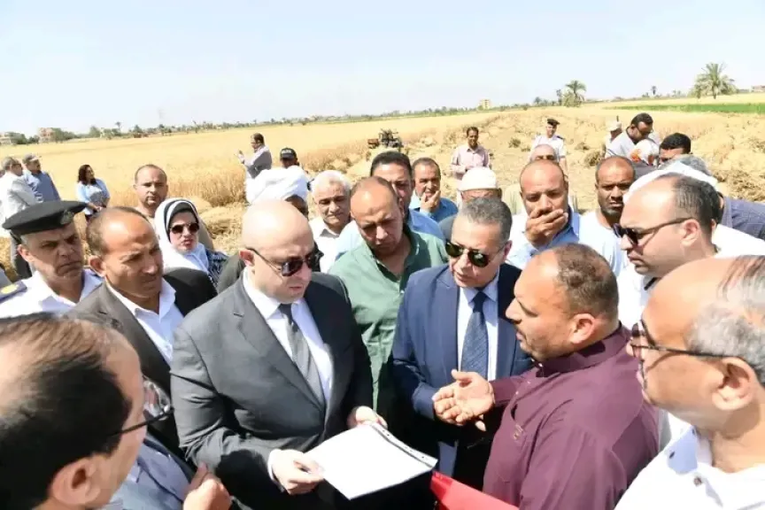 موسم حصاد القمح بالفيوم 
