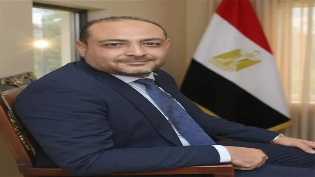 المهندس محمد مصطفى كشر، عضو مجلس الشيوخ