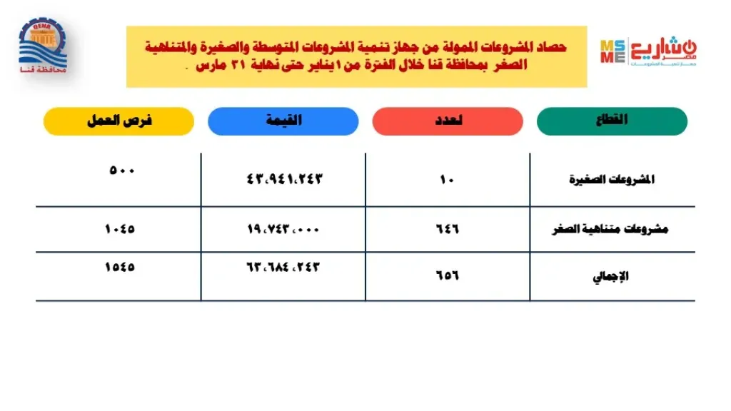 63 مليون جنيه لتمويل مشروعات صغيرة ومتناهية الصغر
