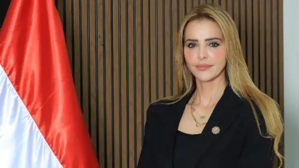  النائبة مروة بوريص، عضو مجلس النواب،