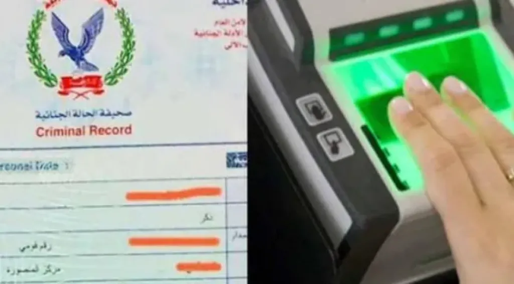 استخراج فيش وتشبيه مستعجل أونلاين