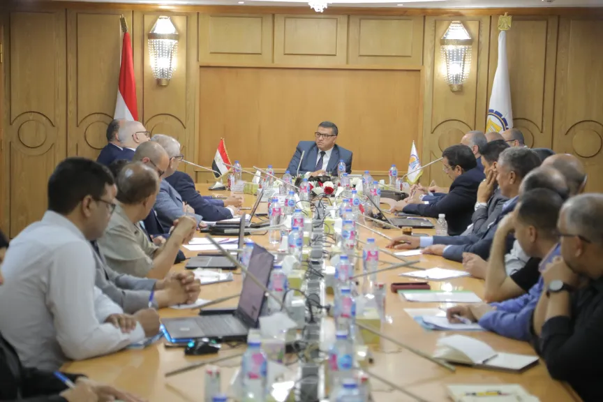 إستعراض إنجازات برنامج التنمية المحلية بصعيد مصر 