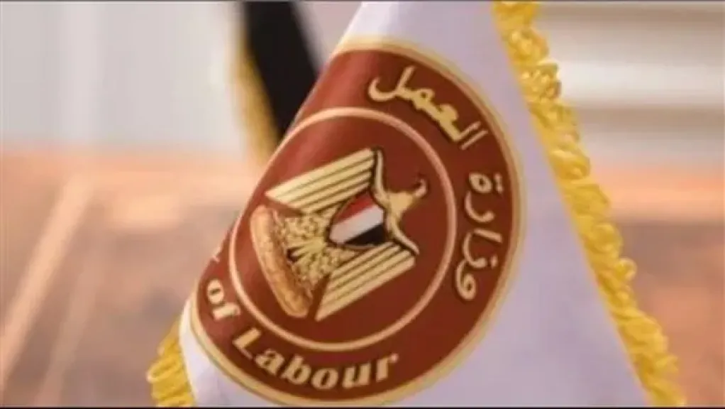 وزارة العمل 