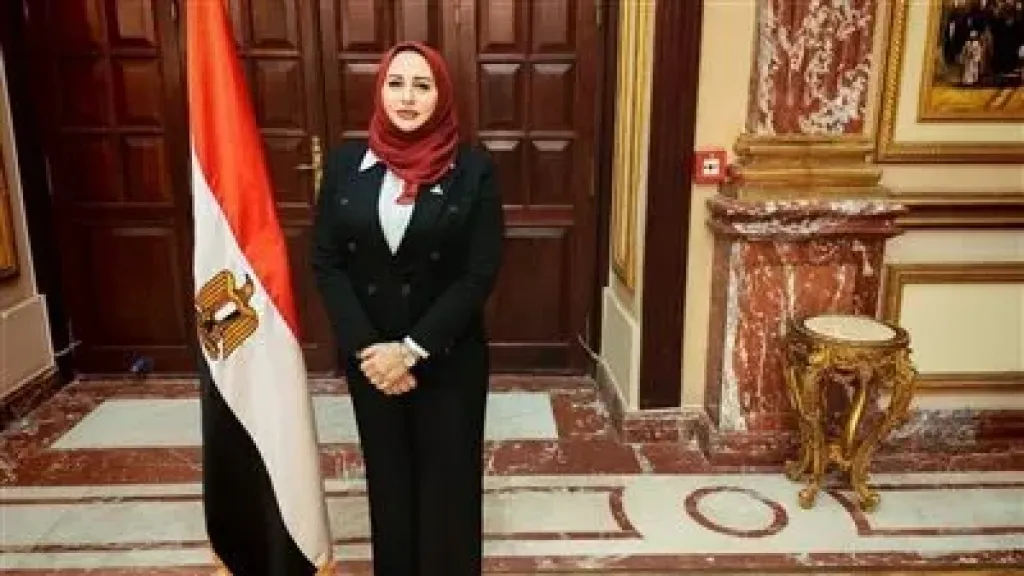 النائبة شيرين صبري، عضو مجلس الشيوخ