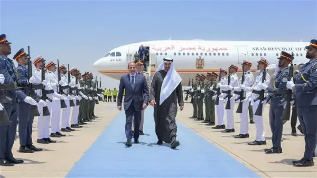  الرئيس السيسي 